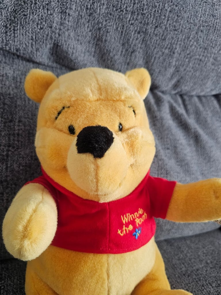 Disney Winnie the Pooh soft toy plush teddy new with tags