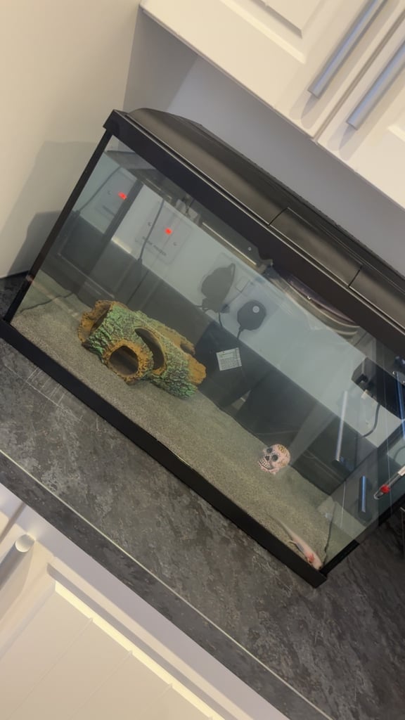 fish tank for sale