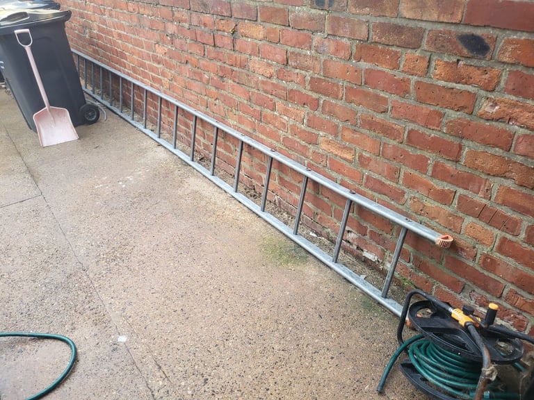 25ft scaffold ladder