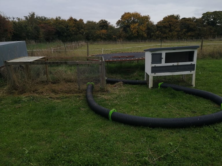 Rabbit hutch and run