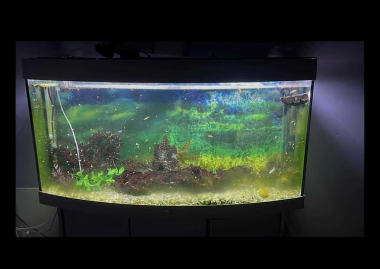 image for 260L set up 