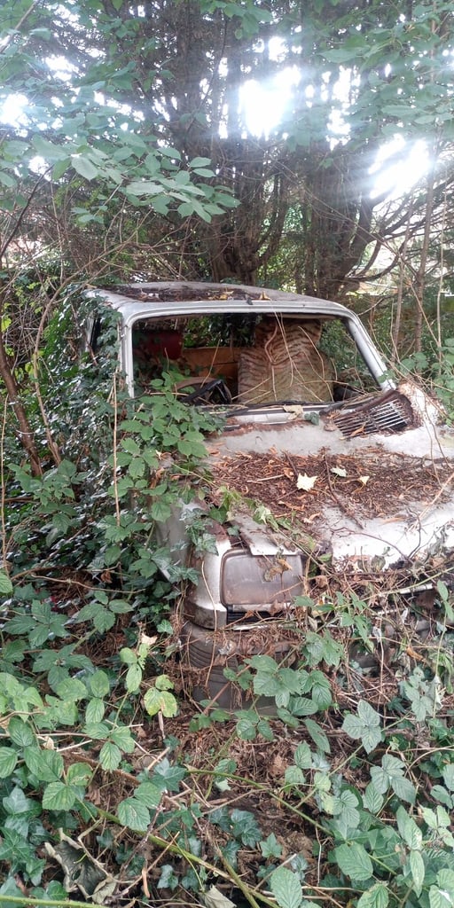 Vintage classic Renault 5