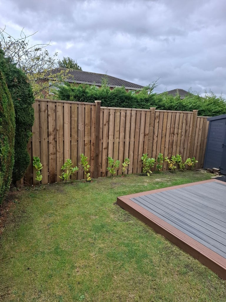 Fencing and Decking