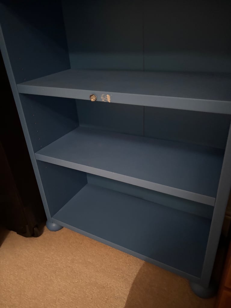 Blue Bookcase 