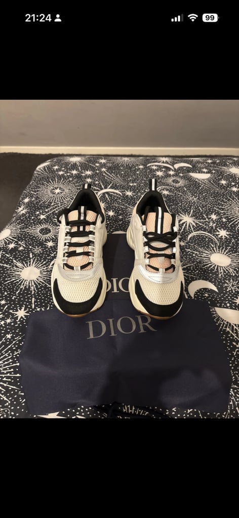 Dior trainers 