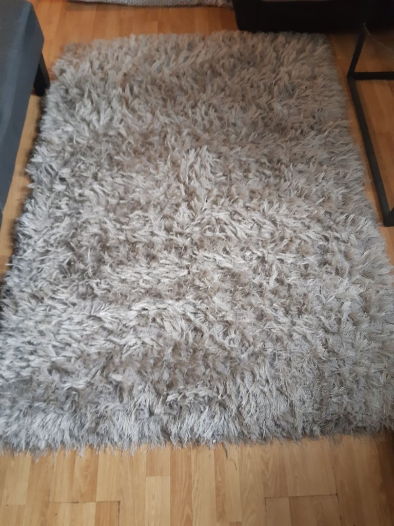 Shaggy Silver Rug