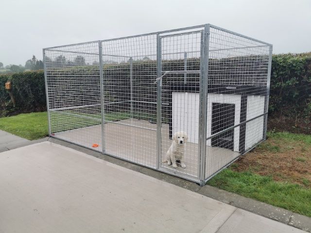 New galvanised dog cages pens enclosures  and kennels
