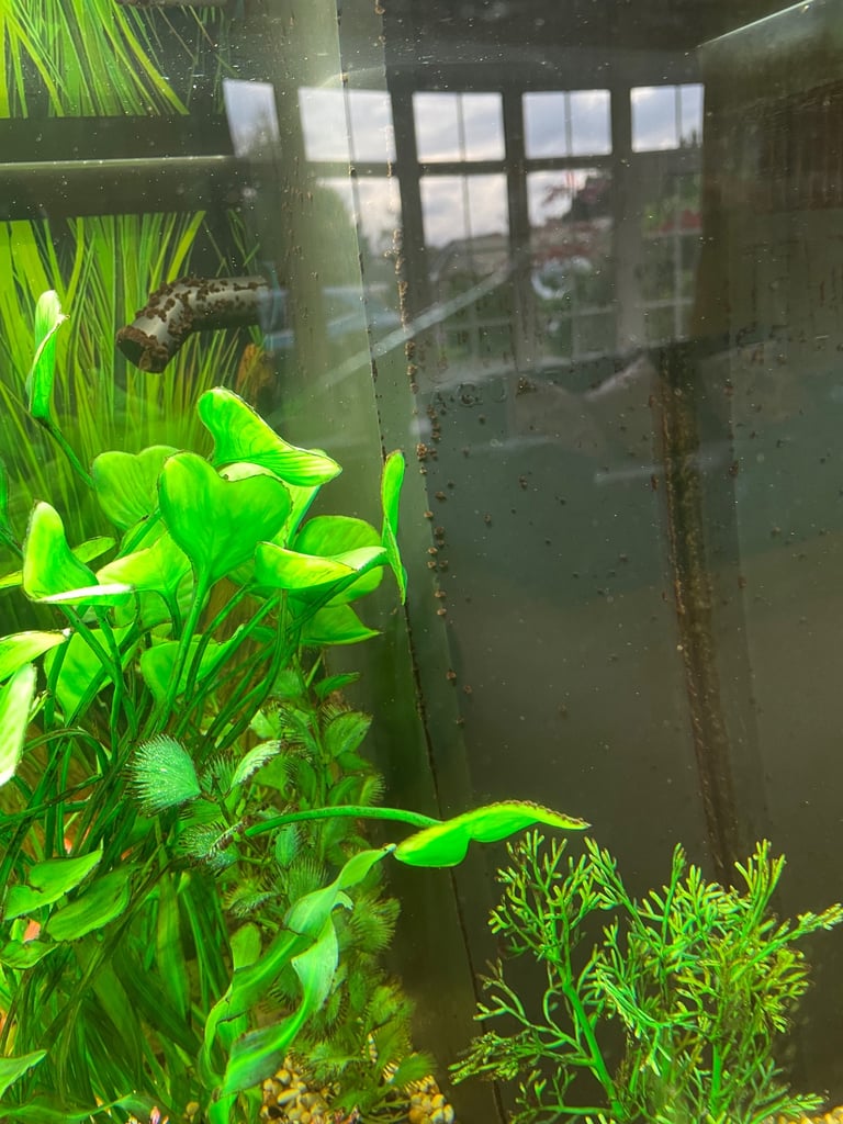 Jewel Rio 180 tank and cabinet and all accessories 
