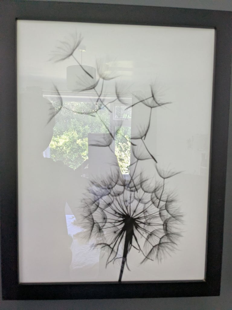 Selection of Posters/Prints