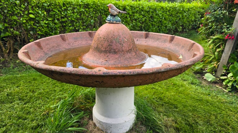 Vintage Bird Bath 🐦 
