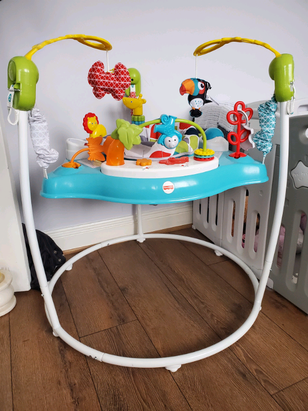 image for Fisher Price Baby Bouncer