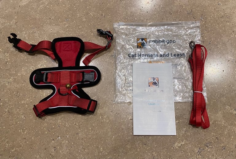 Cat Harness and Leash Rabbitgoo, red colour, size XS