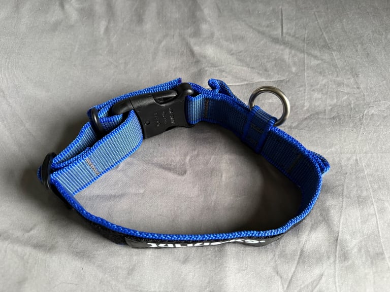Julius-K9 dog collar