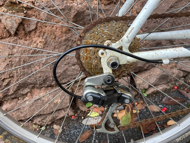 Trek 820 Bike, 4130 steel frame