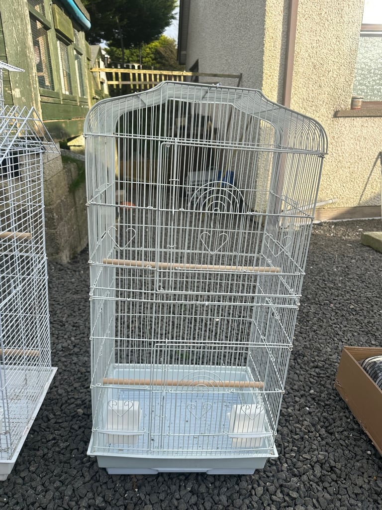 Bird cage available 