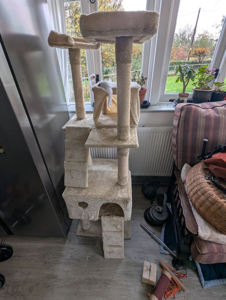 Cat tree 
