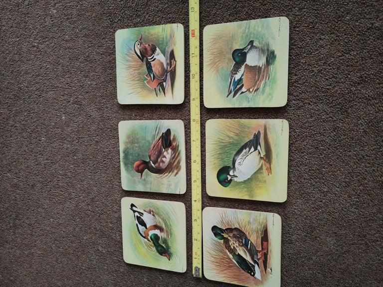 6 X new duck coasters 