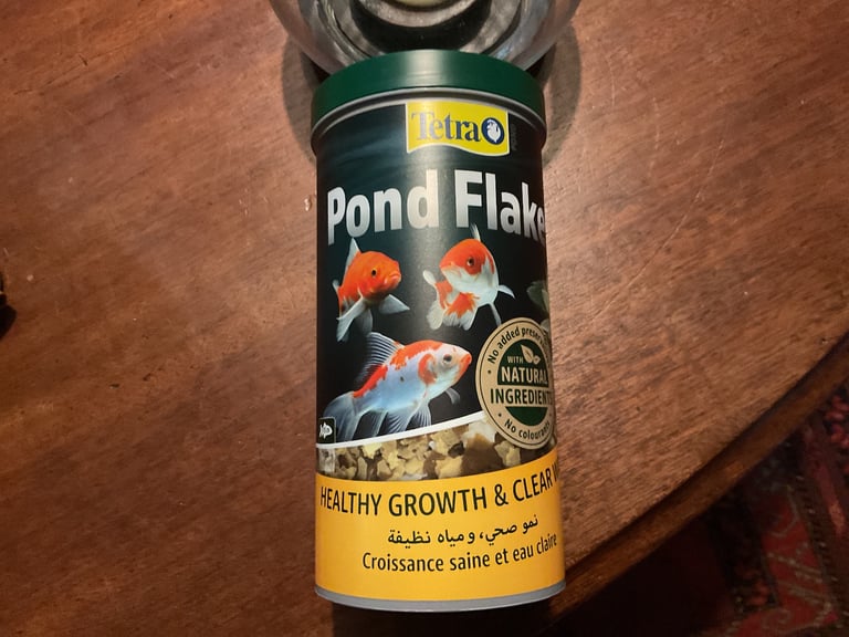 Fish food 
