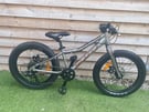 Scott roxter children’s 20 in mountain bike 