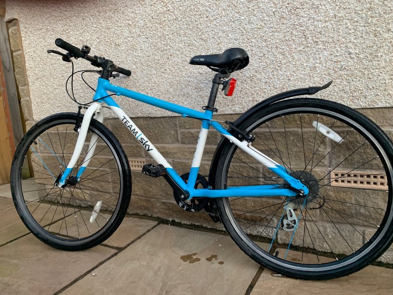 image for Frog 69 - Sky Branded Edition