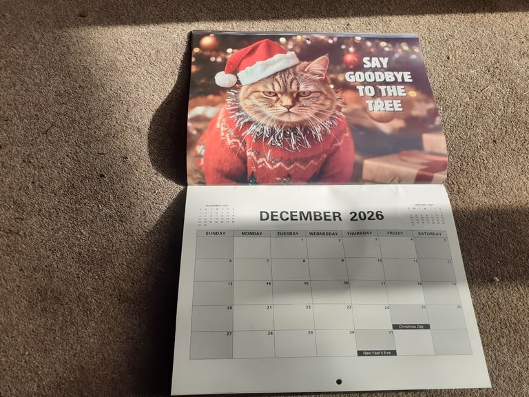 Humorous cat calendar for 2026 - nice large by Month size