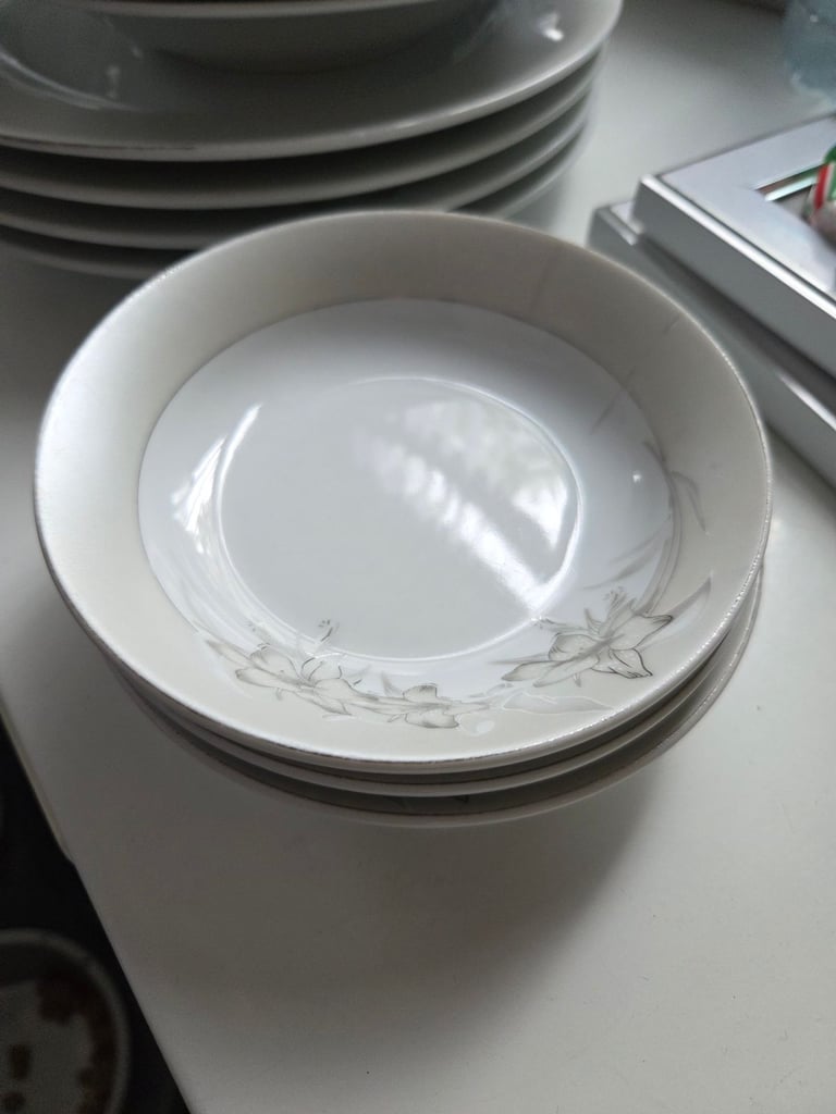Dining plates and bowls 