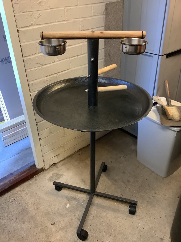 Parrot stand
