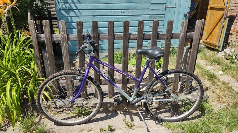 Raleigh Casis 18" mountain bicycle 