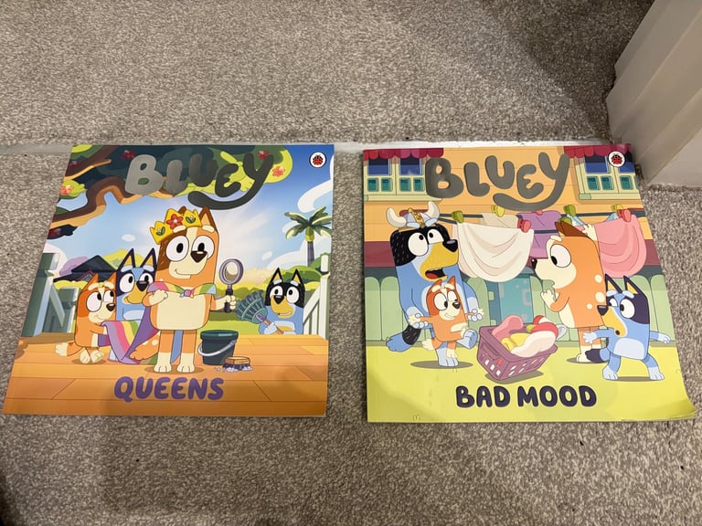 image for 2 x Bluey Books 