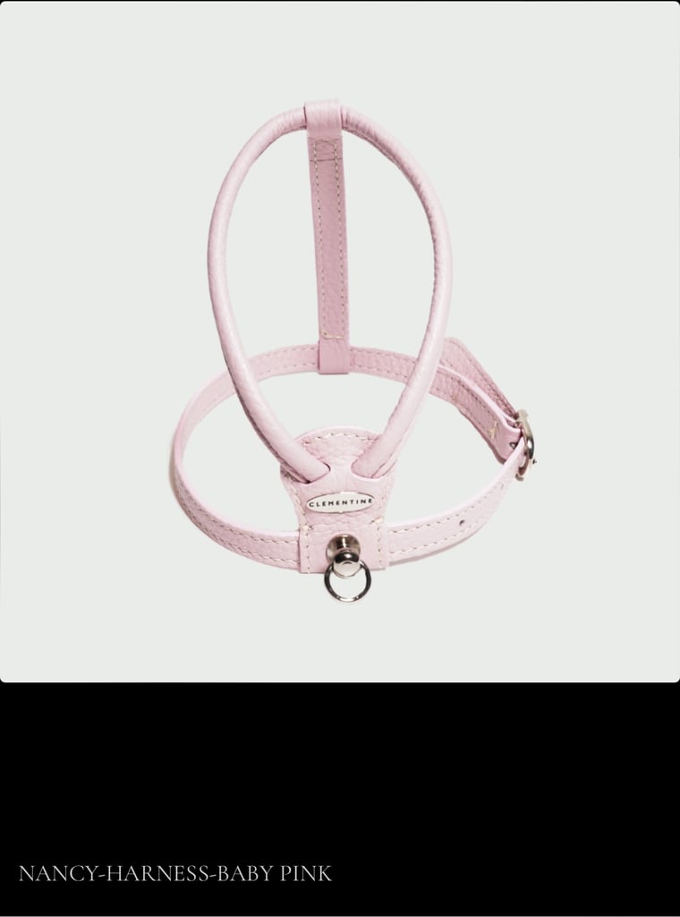 Dog harness, real leather Clementine