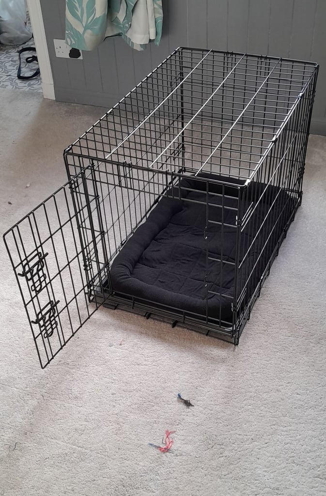 Dog Crate 