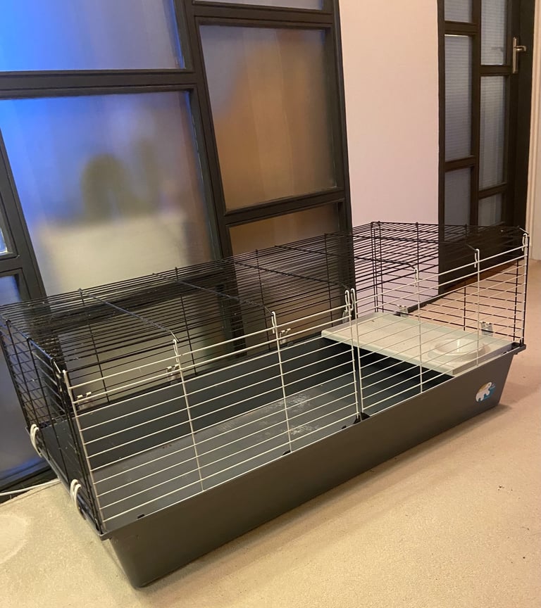 Guinea Pig Cage