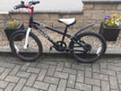 Dawes Boys Bicycle for ages 4-8 years