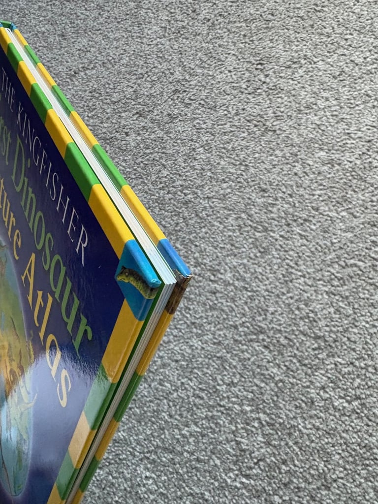 The Kingfisher First Dinosaur 🦖 Picture Atlas