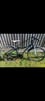 Muddy fox mountain bike with D lock for sale