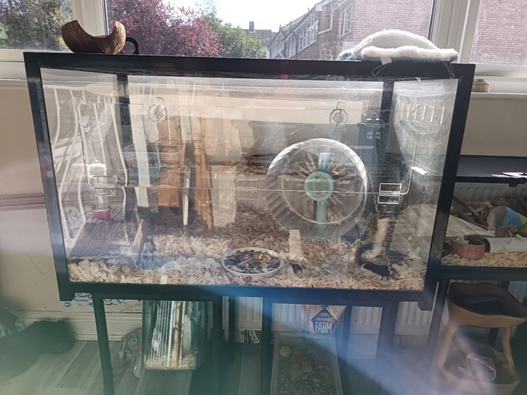 image for Bucatstate hamster cage 