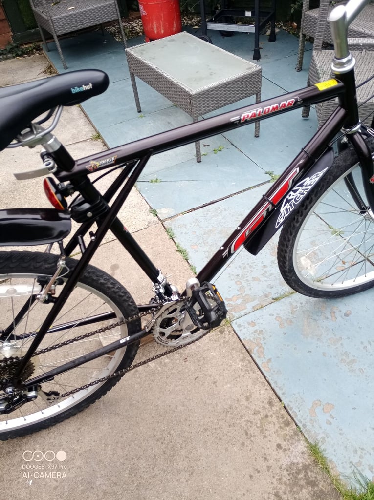 Mountain bike GT