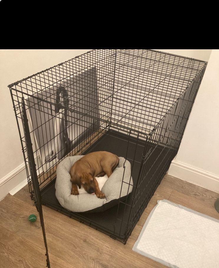 XL DOG CRATE - Brand New 