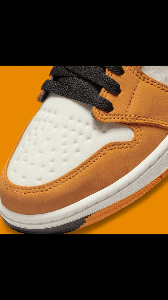 The Air Jordan 1 Element GORE-TEX