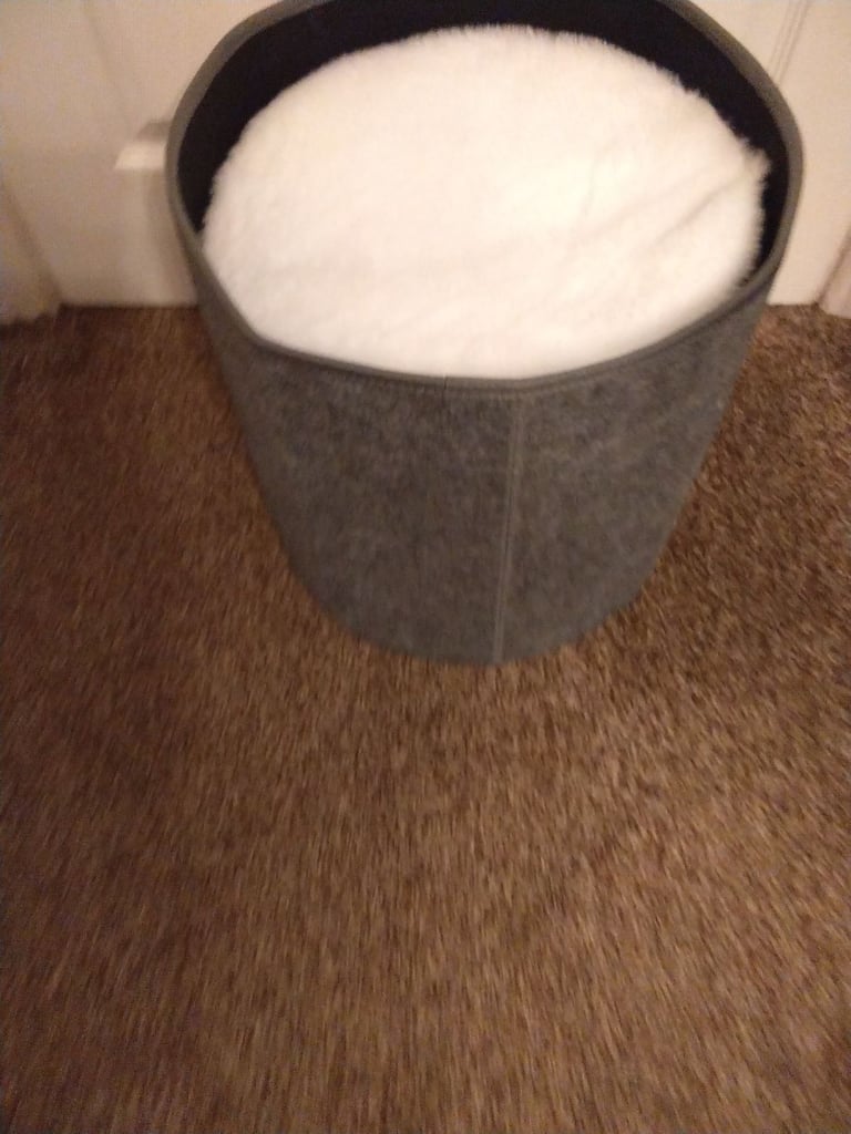 Cat beds. New just £10 each. 