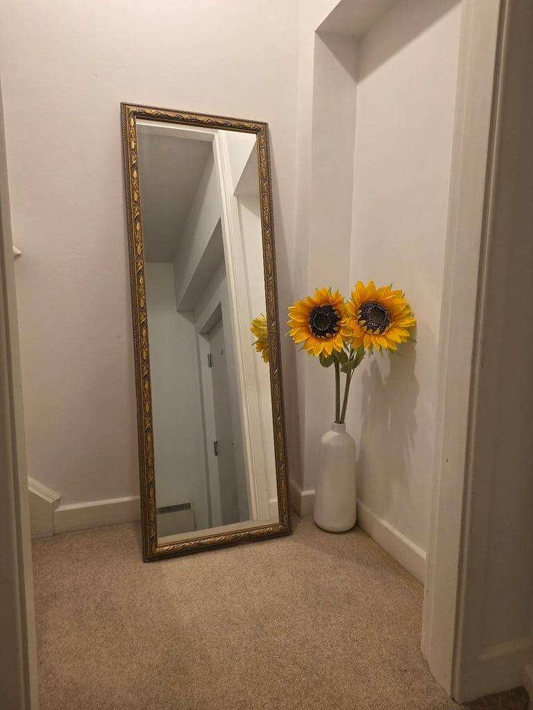 image for Mirror, full length