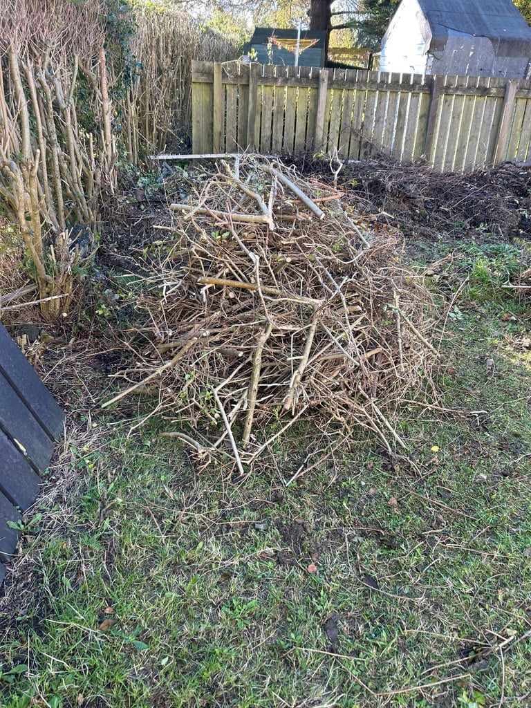 FREE BONFIRE KINDLING/WOOD