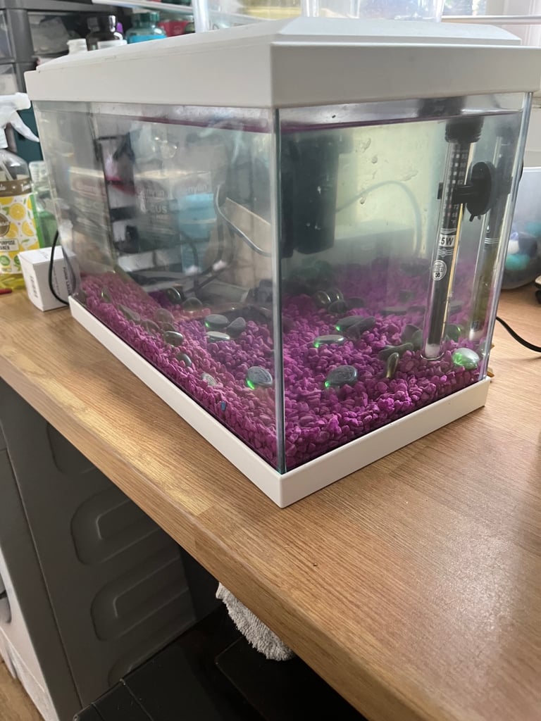 image for Very good condition fish tank aquarium 