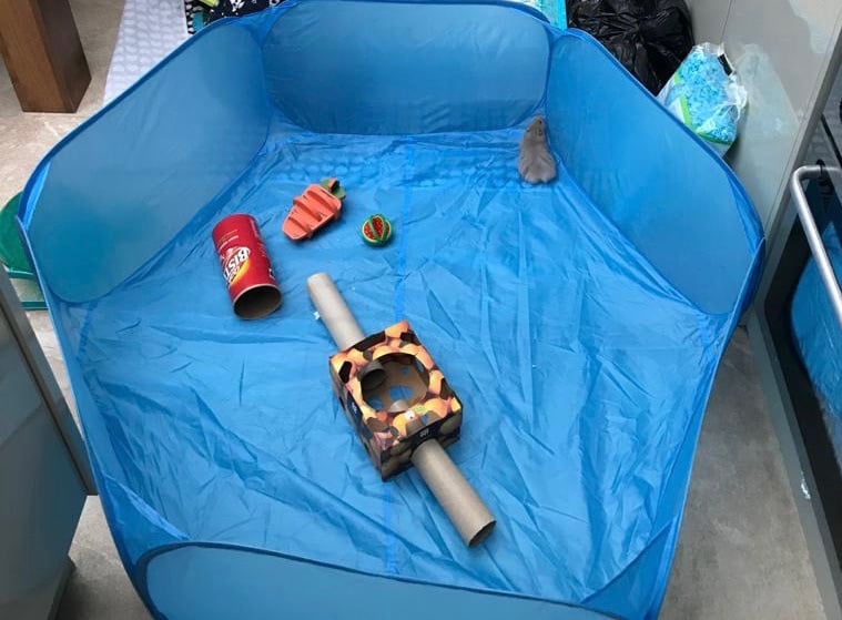 Pets at Home Hamster & Mouse Cage Blue X Large