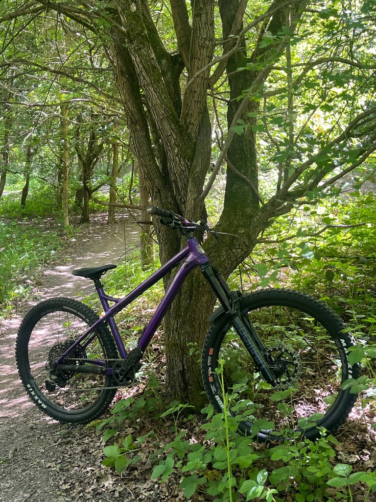 Custom Ragley mmmbop