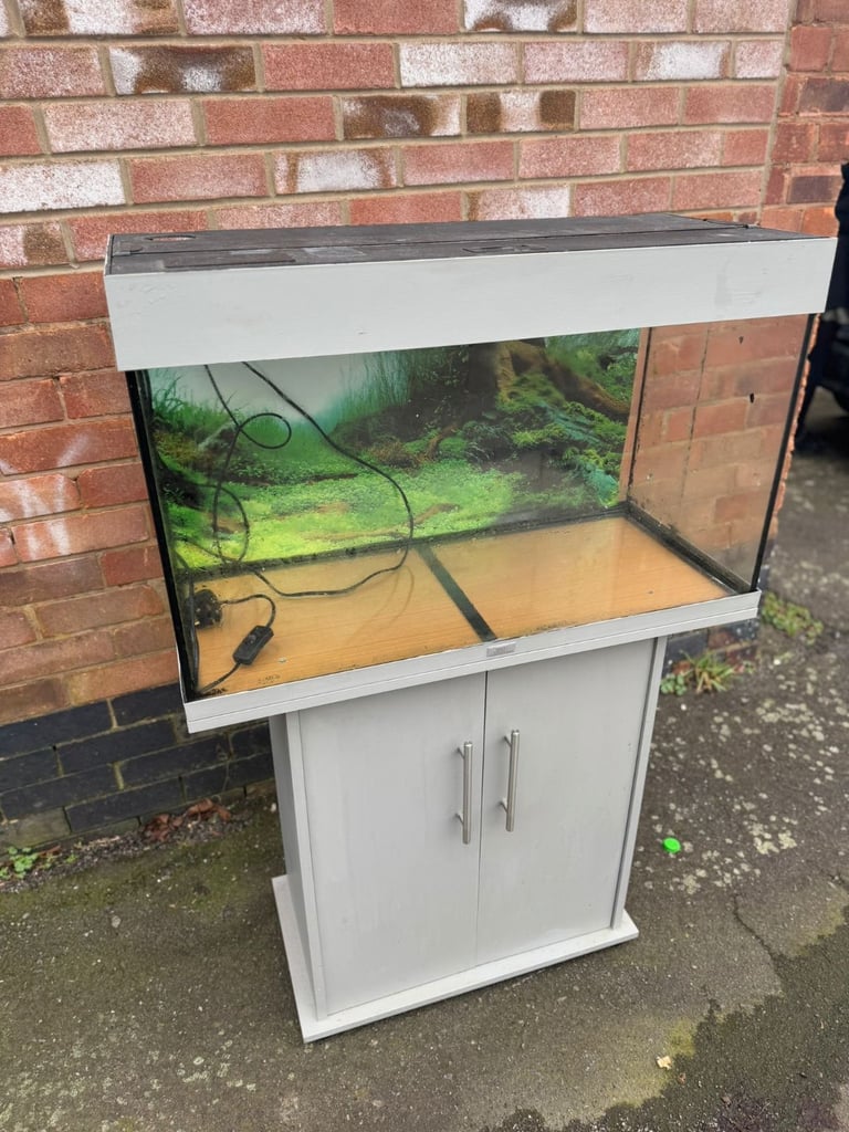 Juwel Rio 125 grey fish tank aquarium tropical setup delivery 🚚