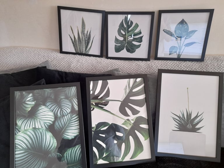image for 6 Ikea pictures in Black frames 