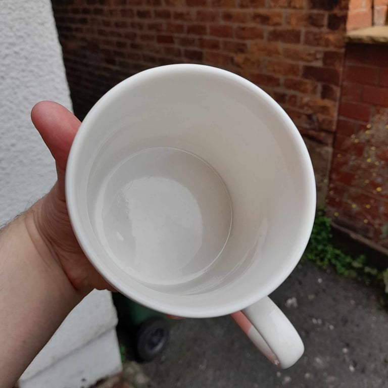 LIKE NEW Mug