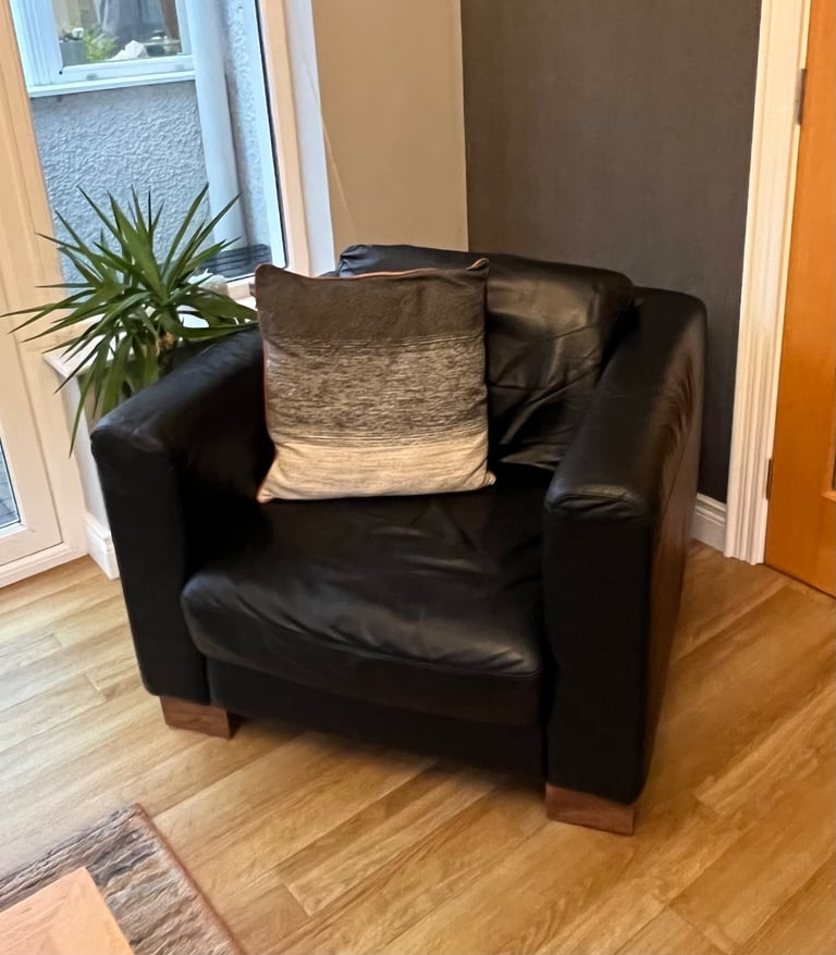 Leather Sofas and Chair