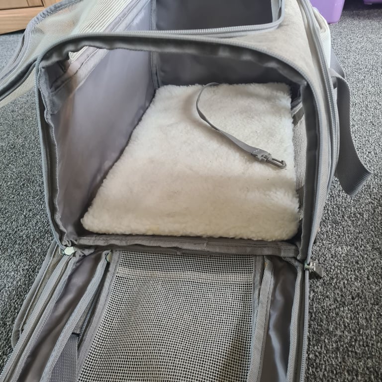 Free pet carrier 